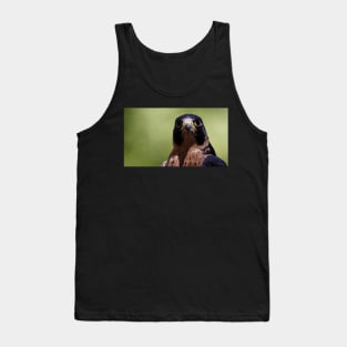 Peregrine Falcon Tank Top